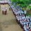 Memperingati Hari Pendidikan Nasional