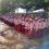 kegiatan MPLS SD YAPIS II MERAUKE